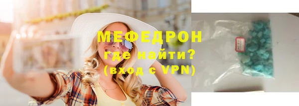 индика Белая Холуница