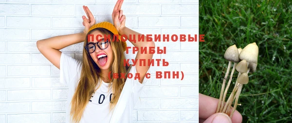 соль ск Михайлов