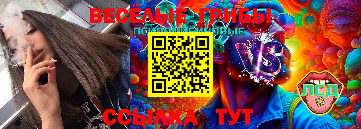 Галлюциногенные грибы мицелий Майский