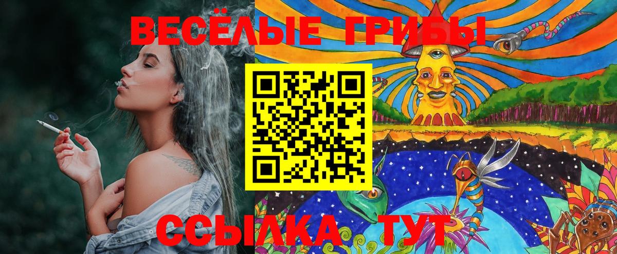 магазин продажи наркотиков  Галлюциногенные грибы Psilocybe  Вход с VPN  Псилоцибиновые грибы прущие грибы  Майский 