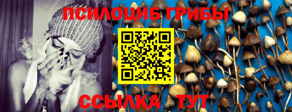 продажа наркотиков  Майский  Псилоцибиновые грибы Psilocybe 