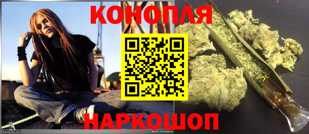 Конопля ГИДРОПОН Майский